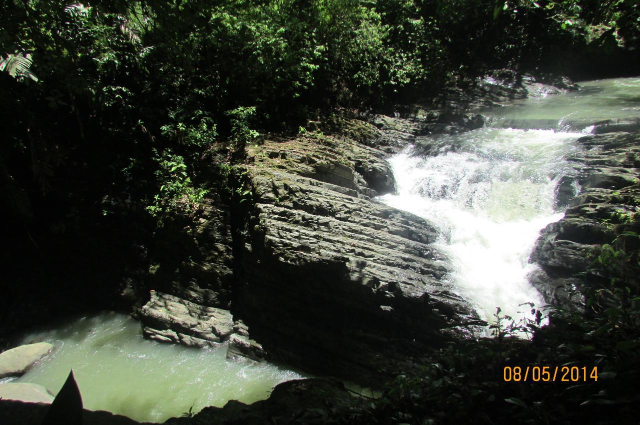 Cabinas Y Restaurante Tilapias La Cascada Hotel Ojochal Zewnętrze zdjęcie