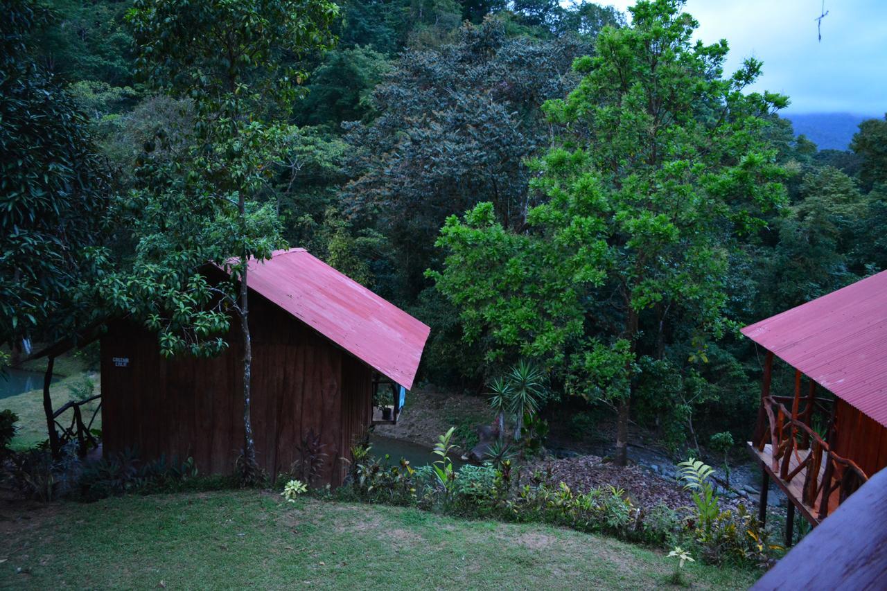 Cabinas Y Restaurante Tilapias La Cascada Hotel Ojochal Zewnętrze zdjęcie