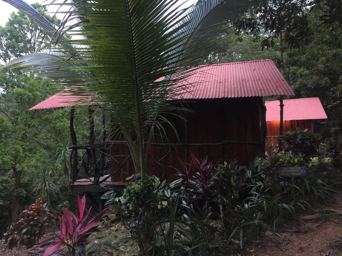 Cabinas Y Restaurante Tilapias La Cascada Hotel Ojochal Zewnętrze zdjęcie