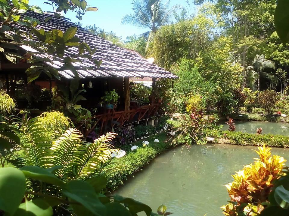 Cabinas Y Restaurante Tilapias La Cascada Hotel Ojochal Zewnętrze zdjęcie