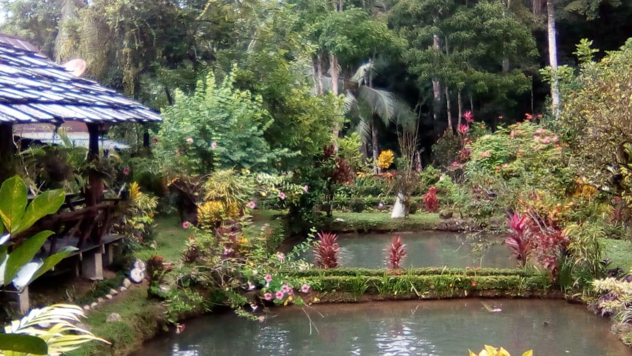 Cabinas Y Restaurante Tilapias La Cascada Hotel Ojochal Zewnętrze zdjęcie