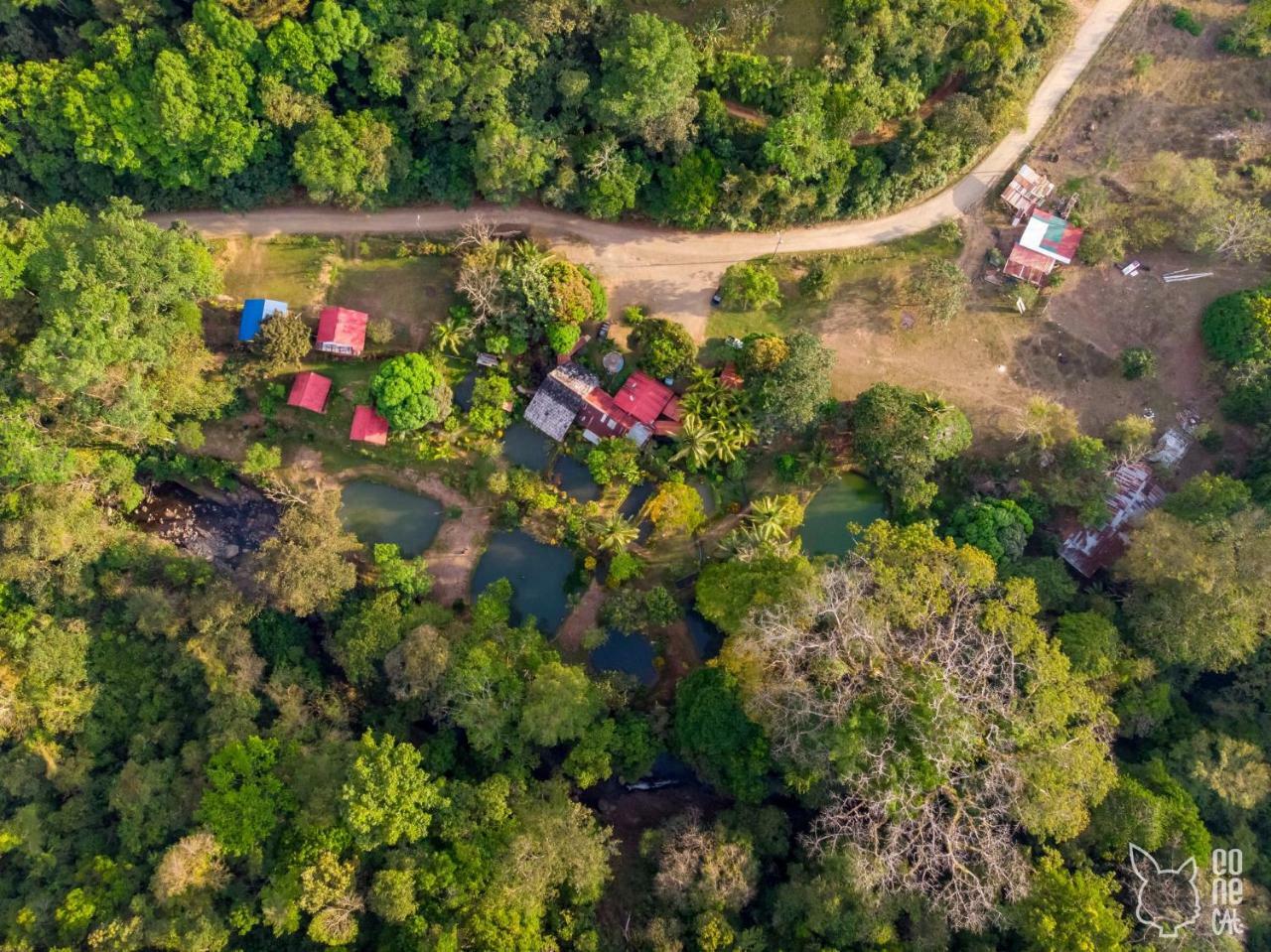 Cabinas Y Restaurante Tilapias La Cascada Hotel Ojochal Zewnętrze zdjęcie